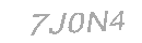 Güvenlik Kodu