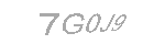 Güvenlik Kodu